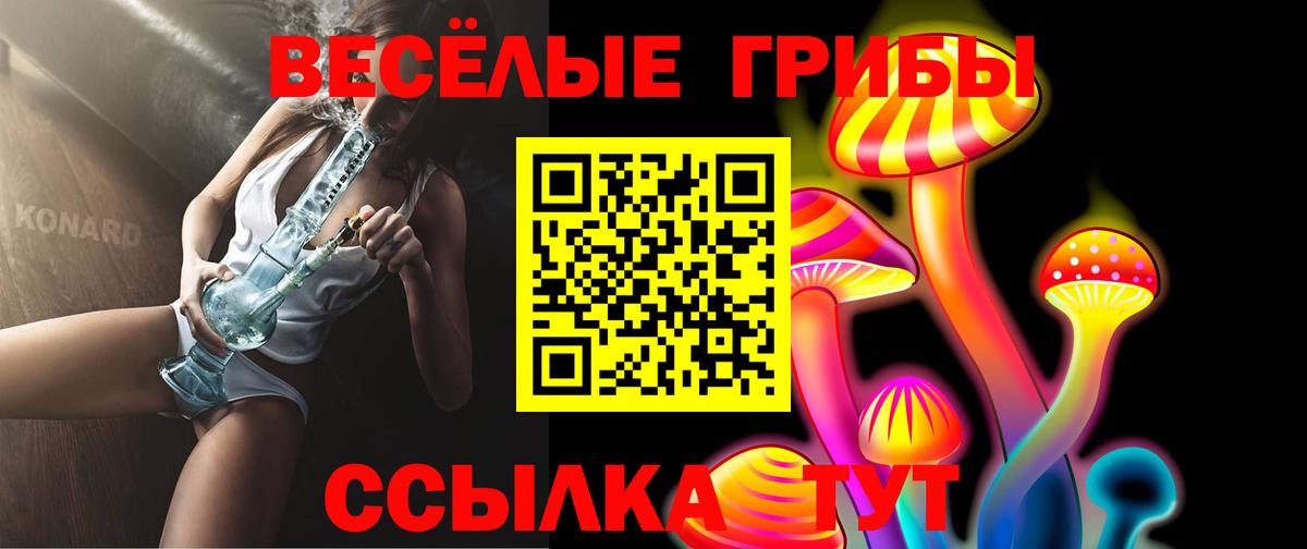 Галлюциногенные грибы GOLDEN TEACHER Пугачёв